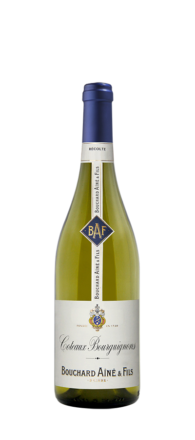Bouchard Aîné & Fils Mercurey | Vivino US